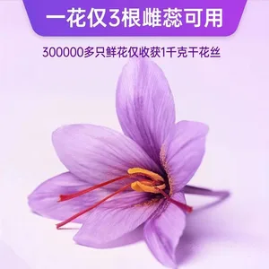 9 en çok satılan, bibs dental - №2