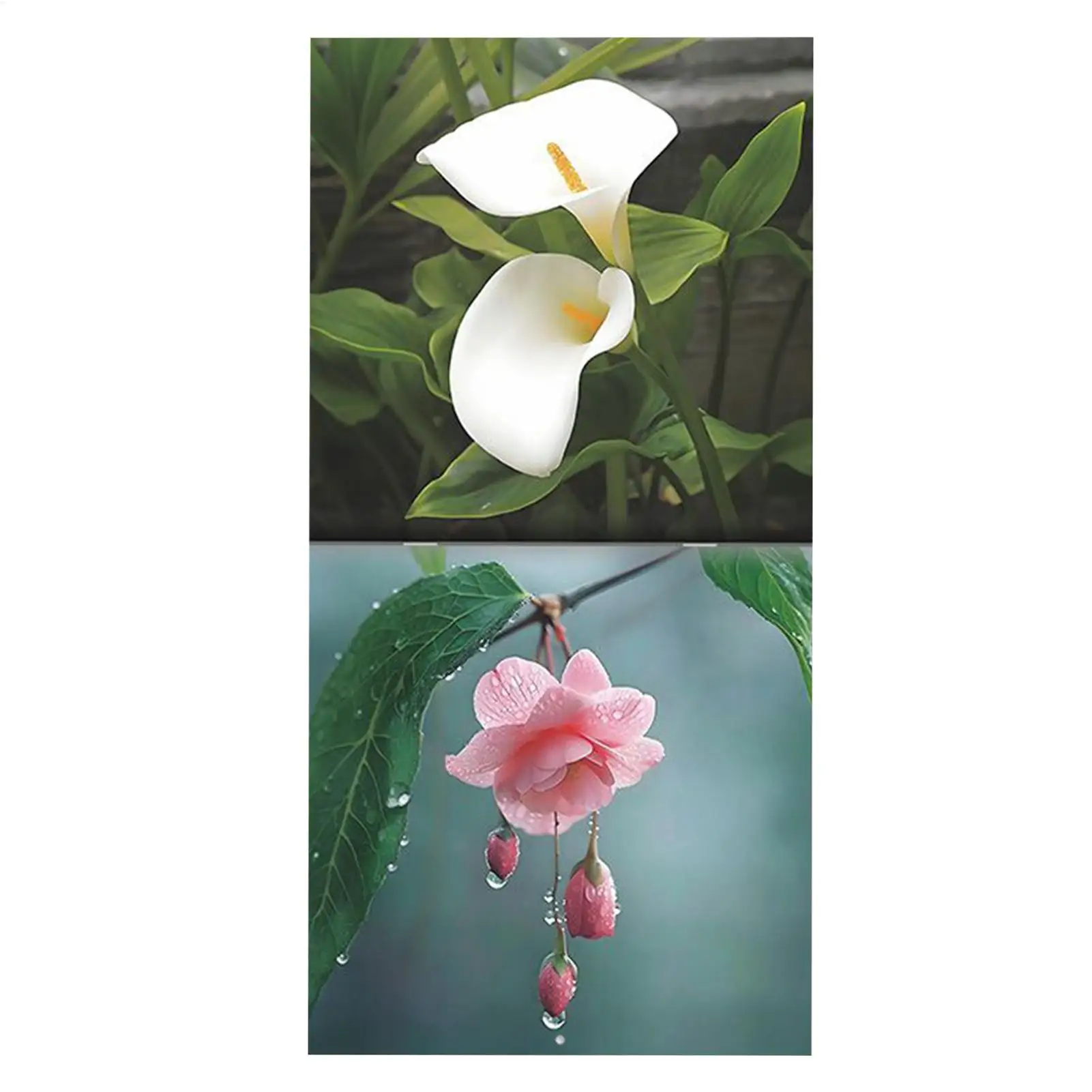 2026 Wall Calendar Floral Wall Calendar Monthly Date Planning Tool Aesthetic for Cubicle Car School Kitchen Travel Classroom