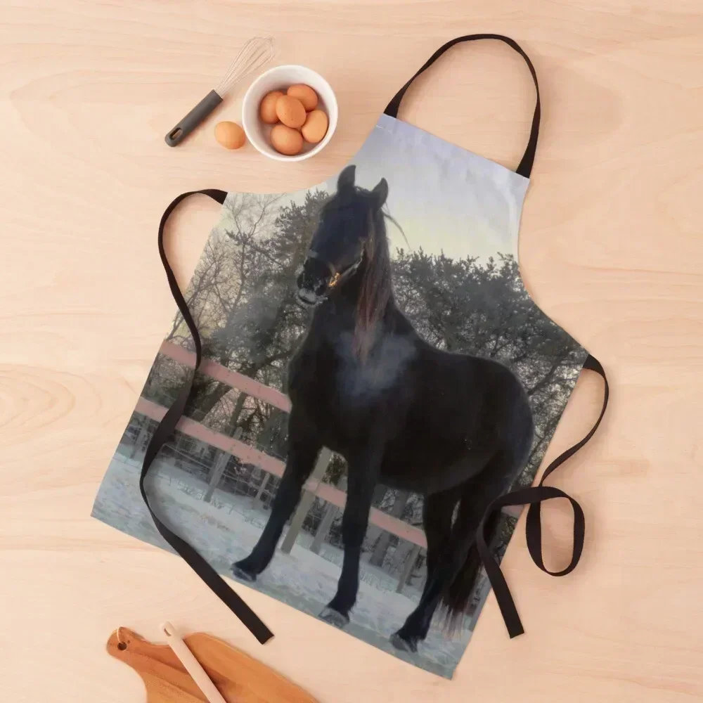 

TipToe Apron Womens Dresses For Cosmetologist manicurist Kitchen Special Accessories Apron