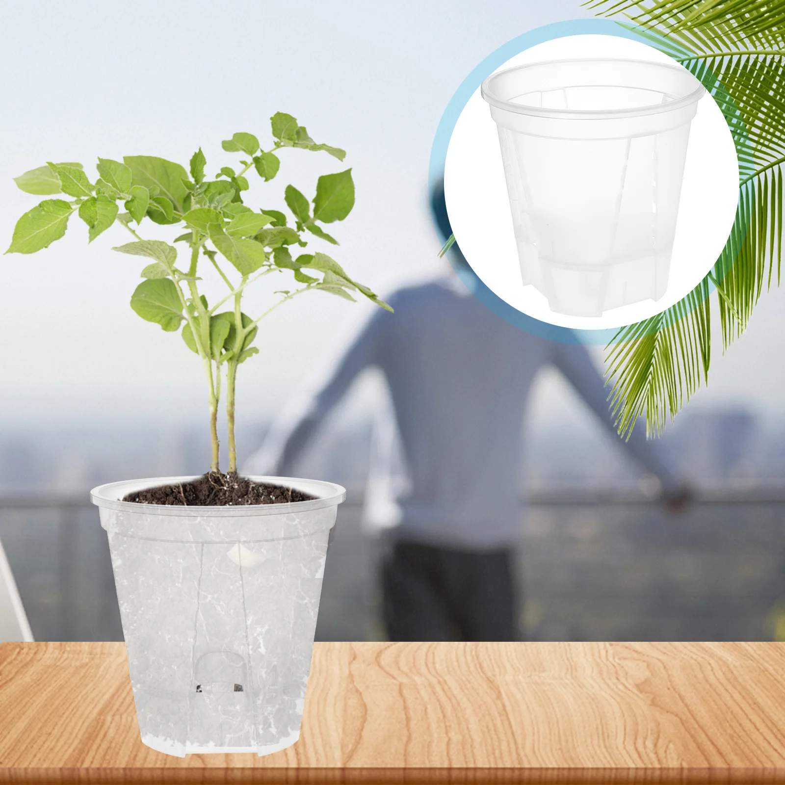 

6Pcs Transparent Self Watering Planter Pots with Drainage Smart Indoor Planters for Healthy Root Growth Bpa Free Lightweight PP