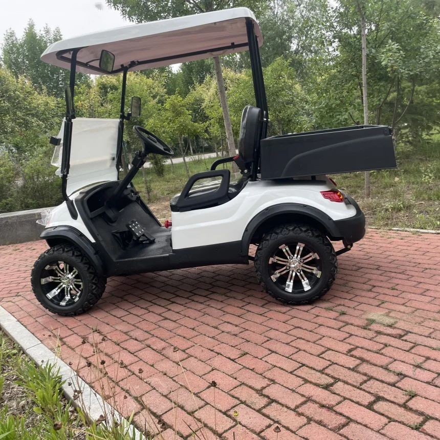 Luxury Golf Cart Competitive Factory Price Electric Cargo Cart 5000W AC System New Energy Electric Golf Cart With Rear Cargo Box