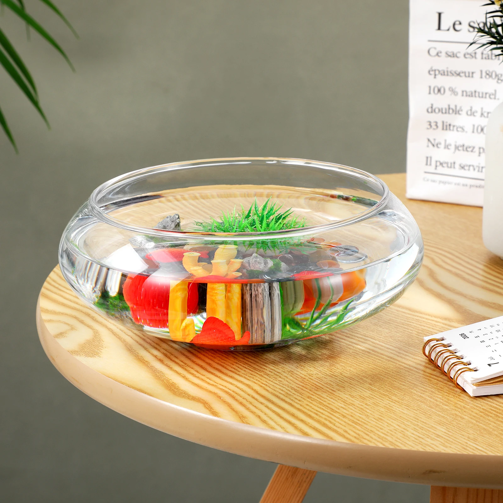 

Glass Succulent Pot Small Clear Planter Pot for Indoor Desktop Decoration Office Home Balcony Fish Bowl Succulent Planter