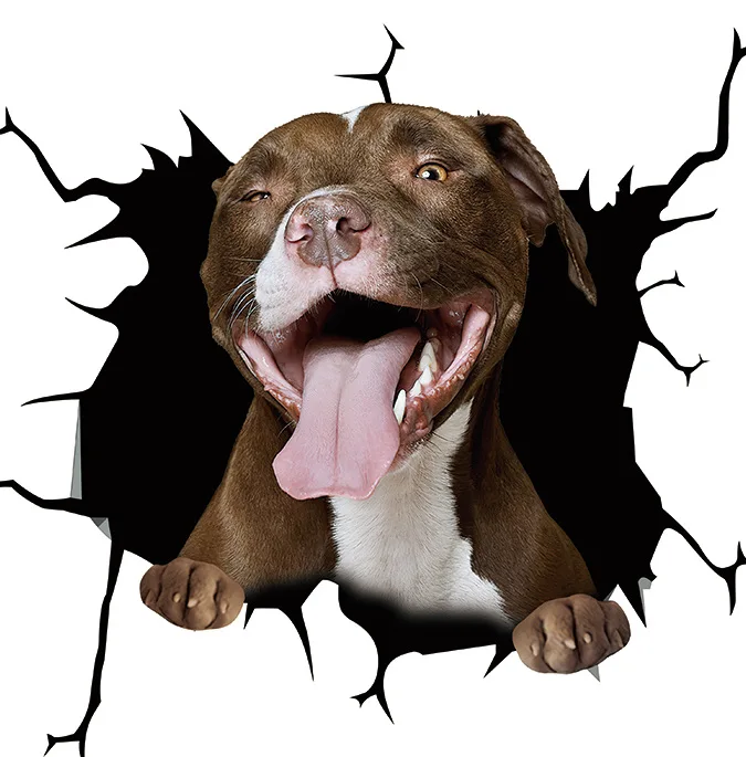 

LYKX 3d Car Sticker Animal Crackle Transparent Car Stickers and Decals Waterproof PVC for Auto Windshield Window Door Wall