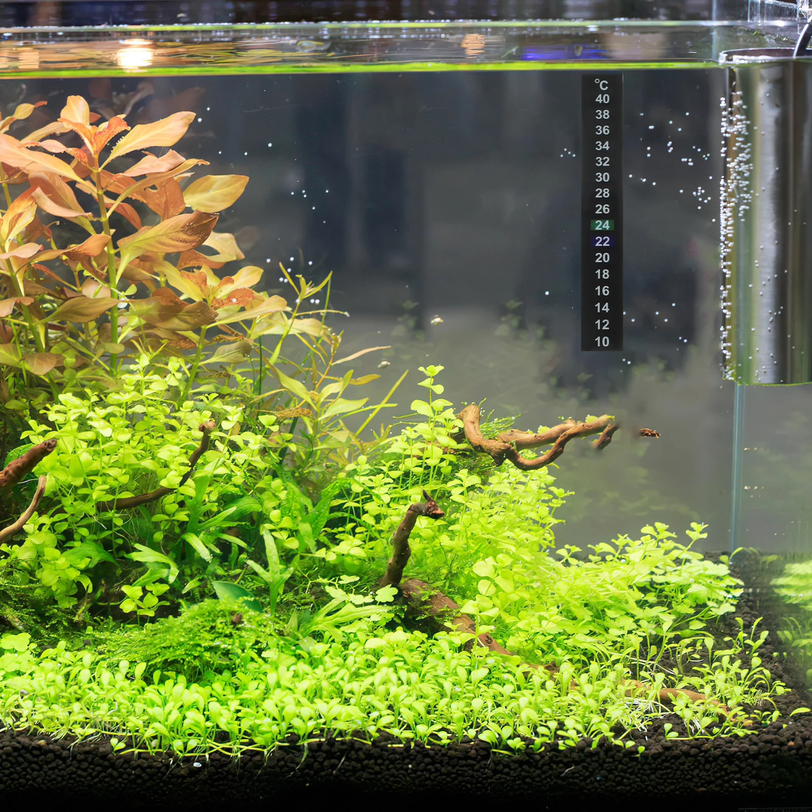 

15Pcs LCD Thermometer Strip Decorative Temperature Indicator for Aquarium Fish Tank Reptile Terrarium Discoloration Measuring