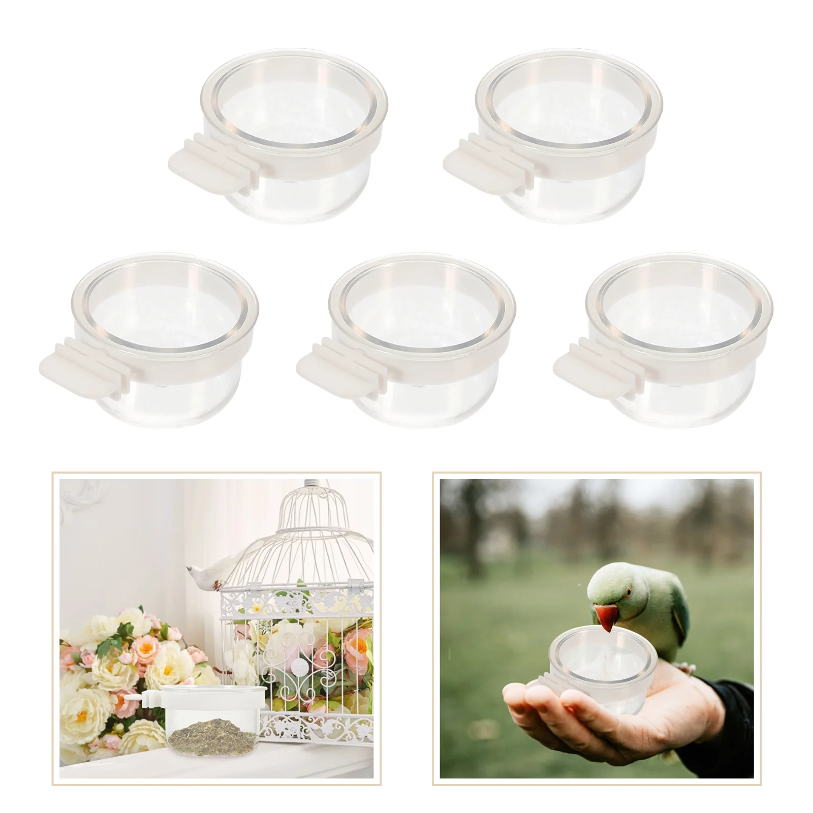 

5 Pcs Bird Food Box Transparent Feeder Cage Bowl Acrylic Water Parrot Accessory