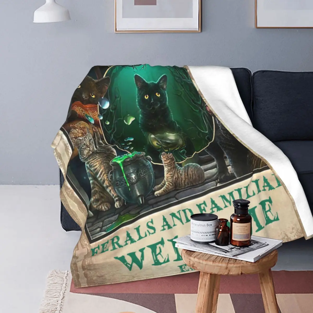 Black Cat Salem Sanctuary For Wayward Cats Blankets Flannel Throw Blanket Bed Sofa Decoration Soft Warm Bedsprea