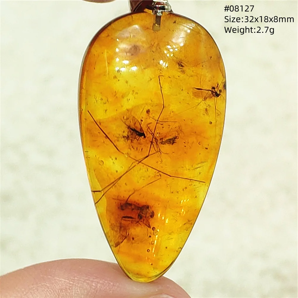 

Ожерелье с подвеской в виде насекомых из натурального желтого янтаря для женщин и мужчин, янтарный камень в виде насекомых, ожерелье с балтийским драгоценным камнем, ювелирные изделия, исцеление AAAAA