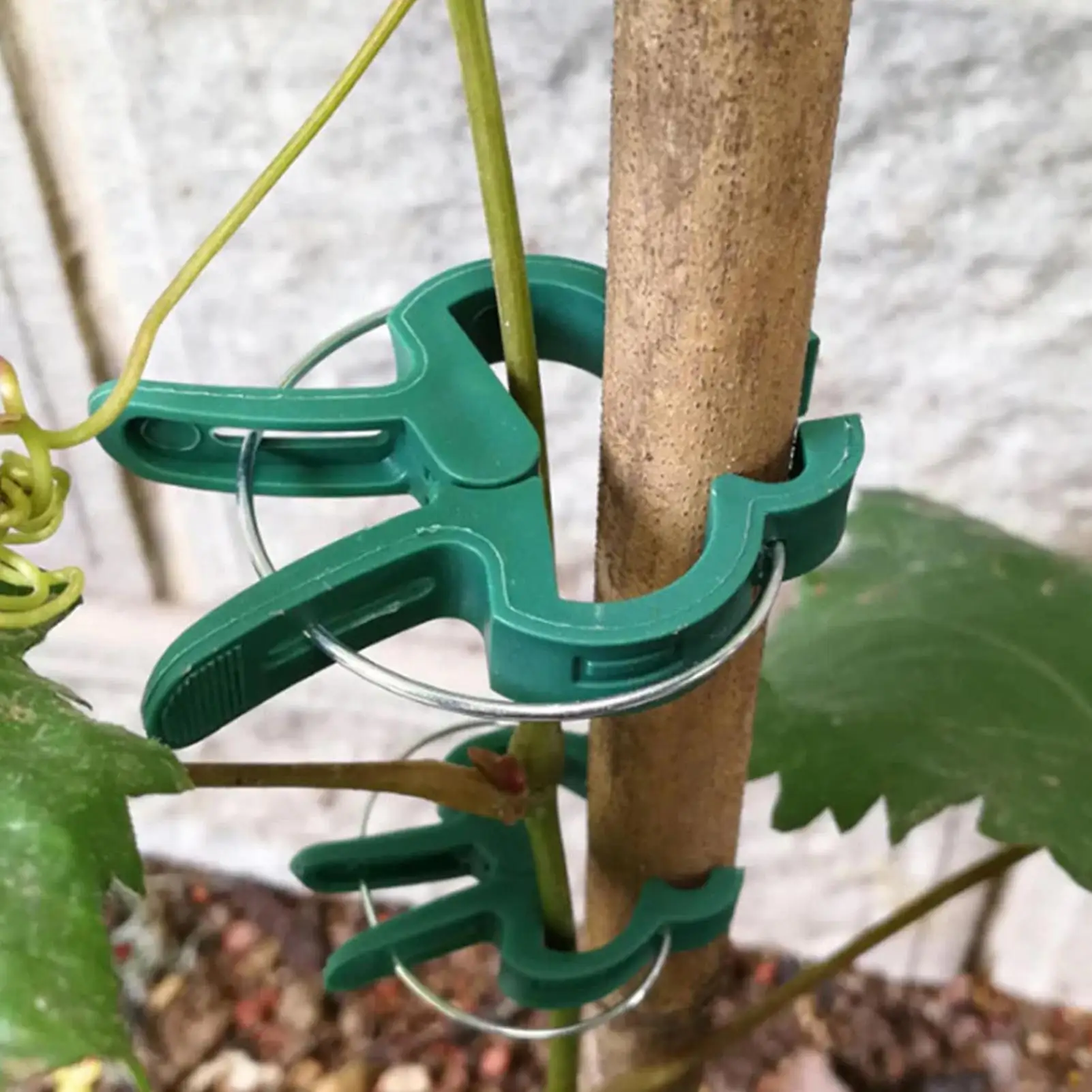 Pflanzenclips 20 Stück Wiederverwendbare Pflanzenbefestigungsclips für Garten und Gewächshaus Rankhilfe Blumen- und Tomatenstütze