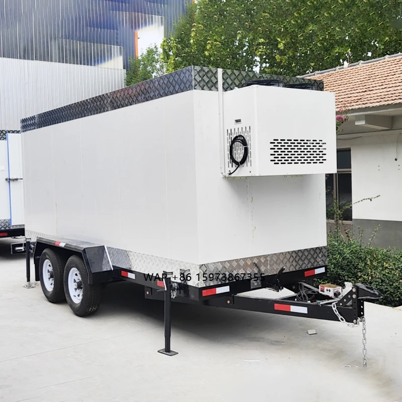 Commercial custom freezer with vegetable and fruit freezer and walk-in freezer for South East Asia