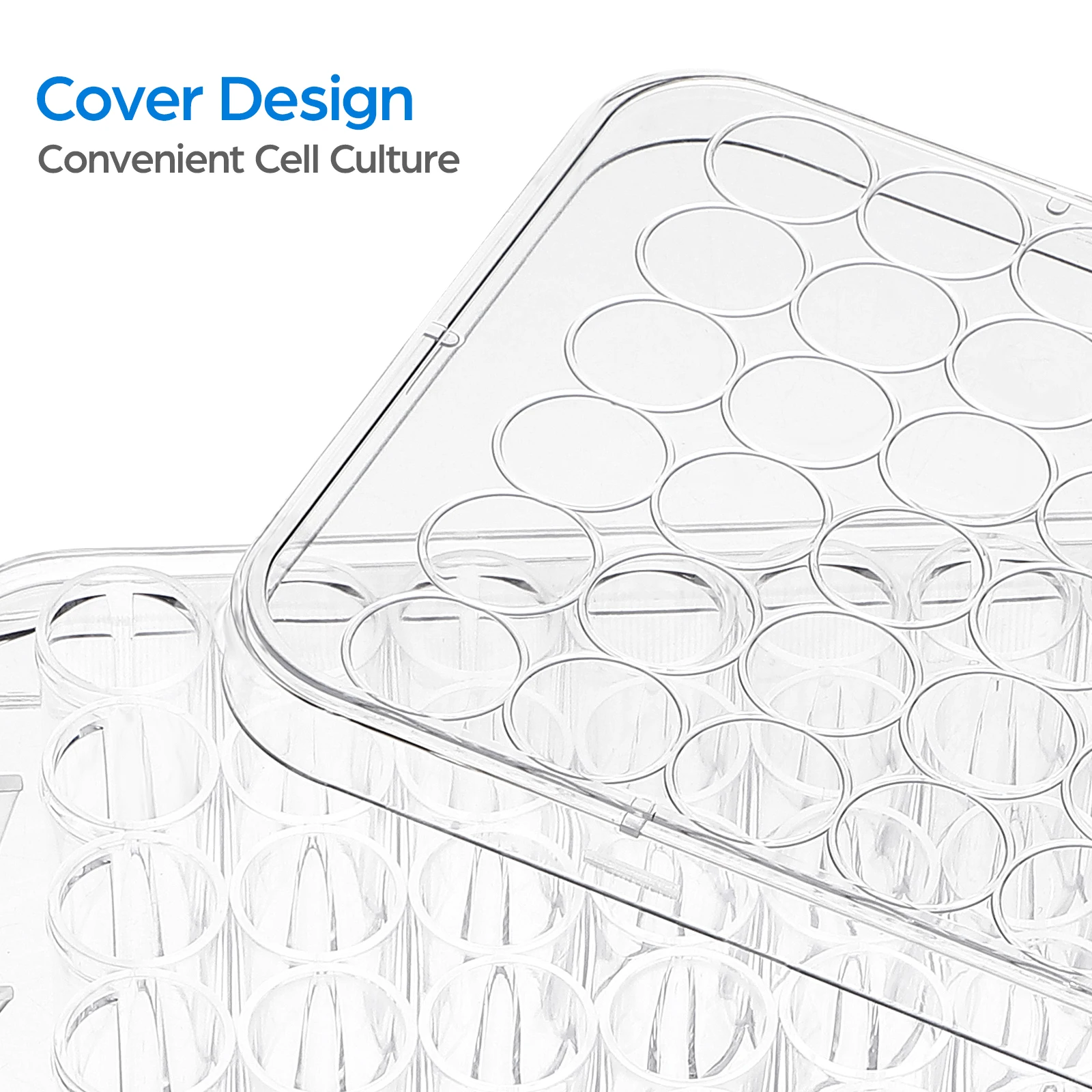 

48-well Culture Plate Laboratory for Tissue Cell Dishes Transparent Tissues Supplies