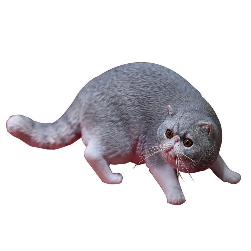 

New direct foreign short-haired cat Garfield simulation pet cat model cute animal ornament