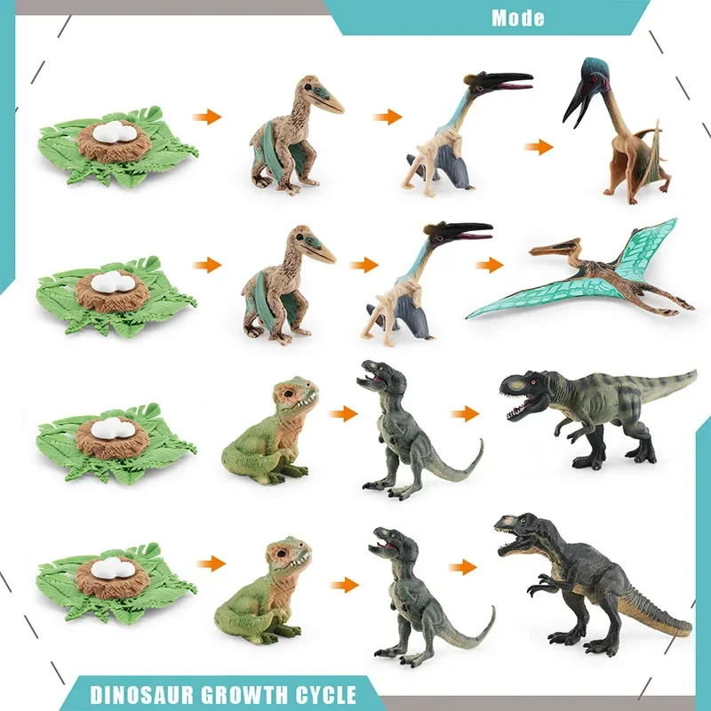 Jurassic Dinosaur Life Cycle Pterosaur Tyrannosaurus Growth Cycle Model Action Figures T Rex Dino Egg Miniature Educational Toys