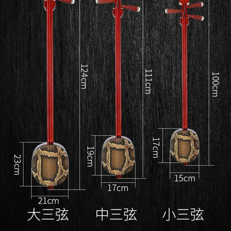 National Musical Instrument Honghuali Three-string Musical Instrument Beginner