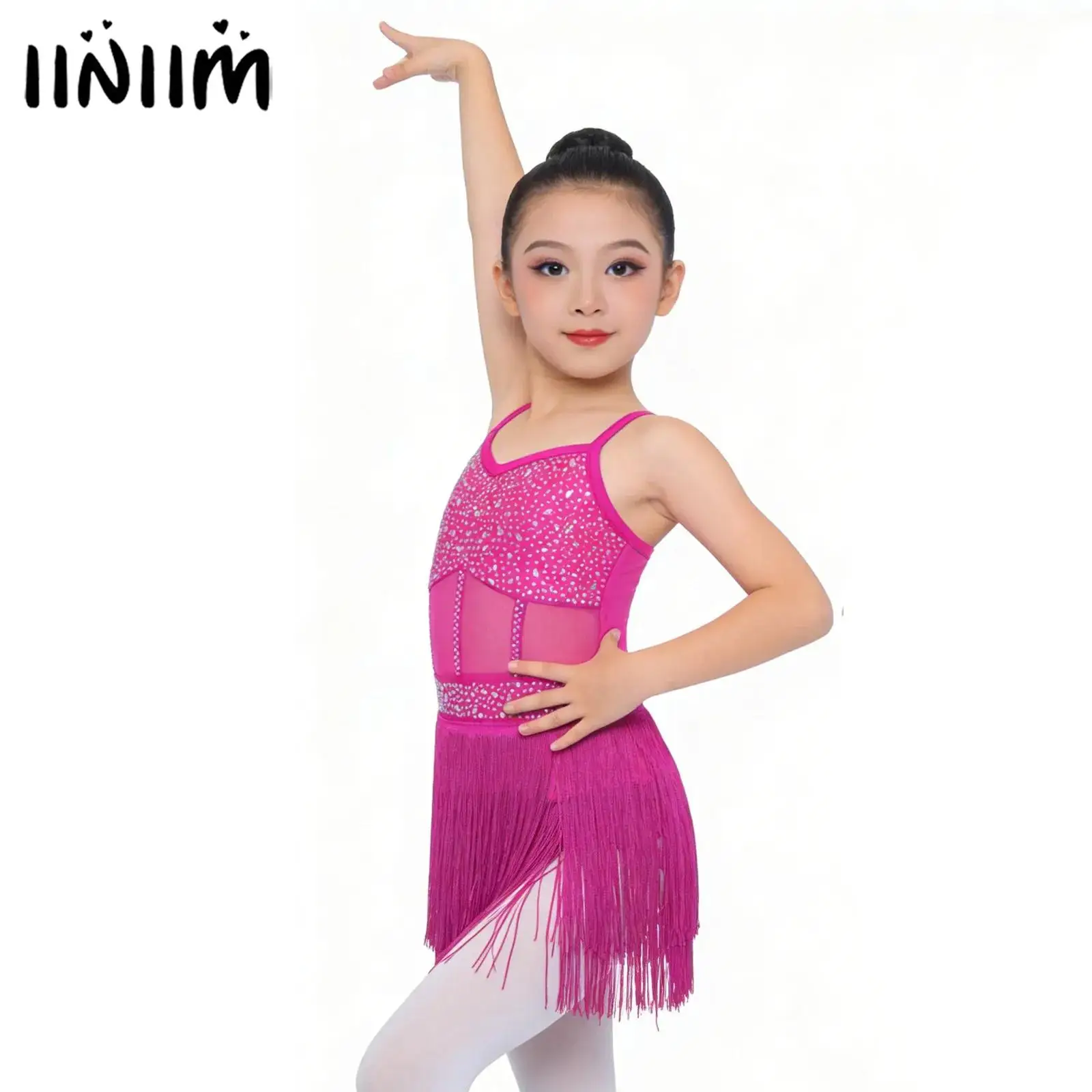 

Kids Girls Rhinestone Fringe Latin Dancewear Tango Ballroom Dance Performance Costume Gymnastics Leotard Tiered Tassel Dress
