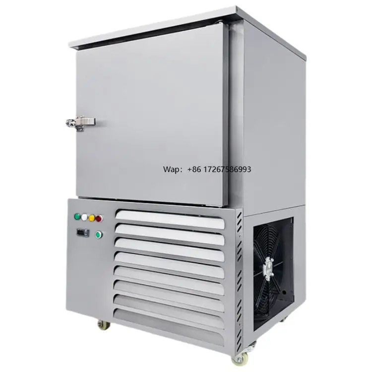 High Quality Commercial Industrial Food Cryogenic Quick-Freezer -45c Freezer Container