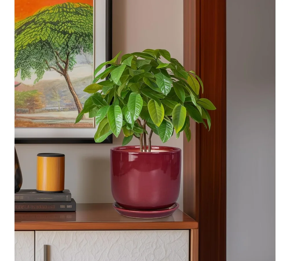 أصيص زهور سيراميك حديث مقاس 8 بوصة مع فتحة تصريف وصحن، حاوية نباتات داخلية وخارجية لديكور المنزل والأعشاب العصارية