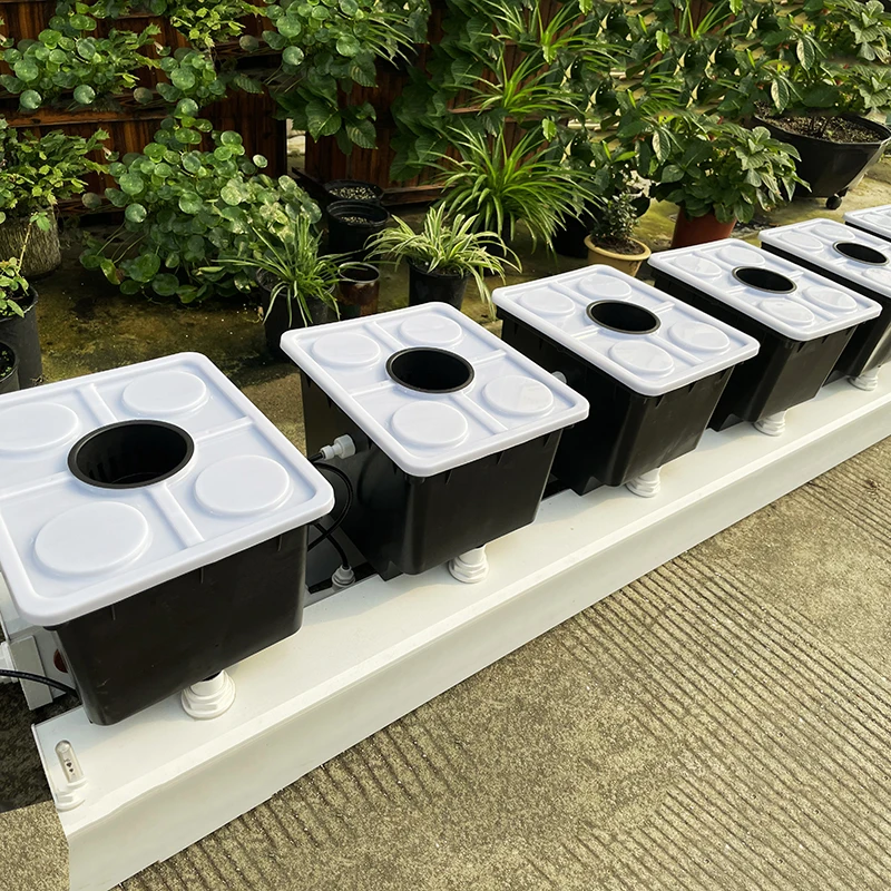 Dutch Bucket Hydroponic System, Soilless Cultivation Kit for Garden Greenhouse Farm - view 5