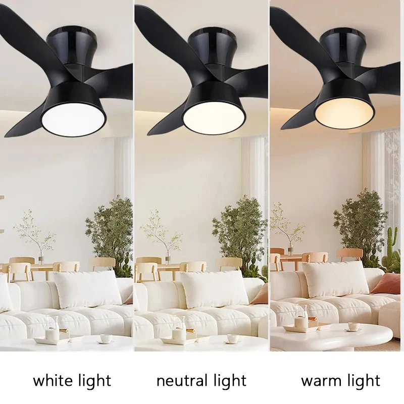 Minimalist Smart Ceiling Fan Lamp LED Energy-Saving Light Source Creative  Living Room Home Indoor Black White High Wind