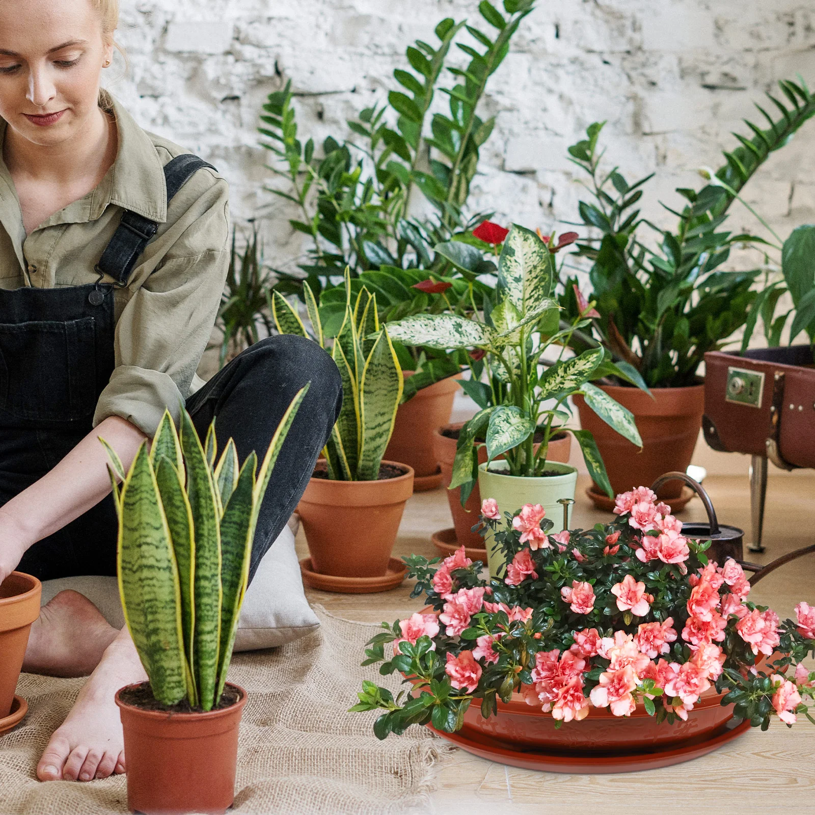 

Round Flowerpot Office Square Container Bonsai Pots with Drainage Tray Plastic Planting