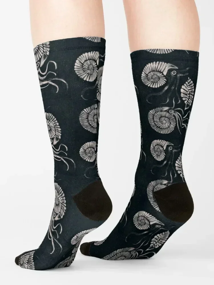 Ammonites Socks อุ่นผู้ชาย ถุงเท้าเดินป่า Men's Women's