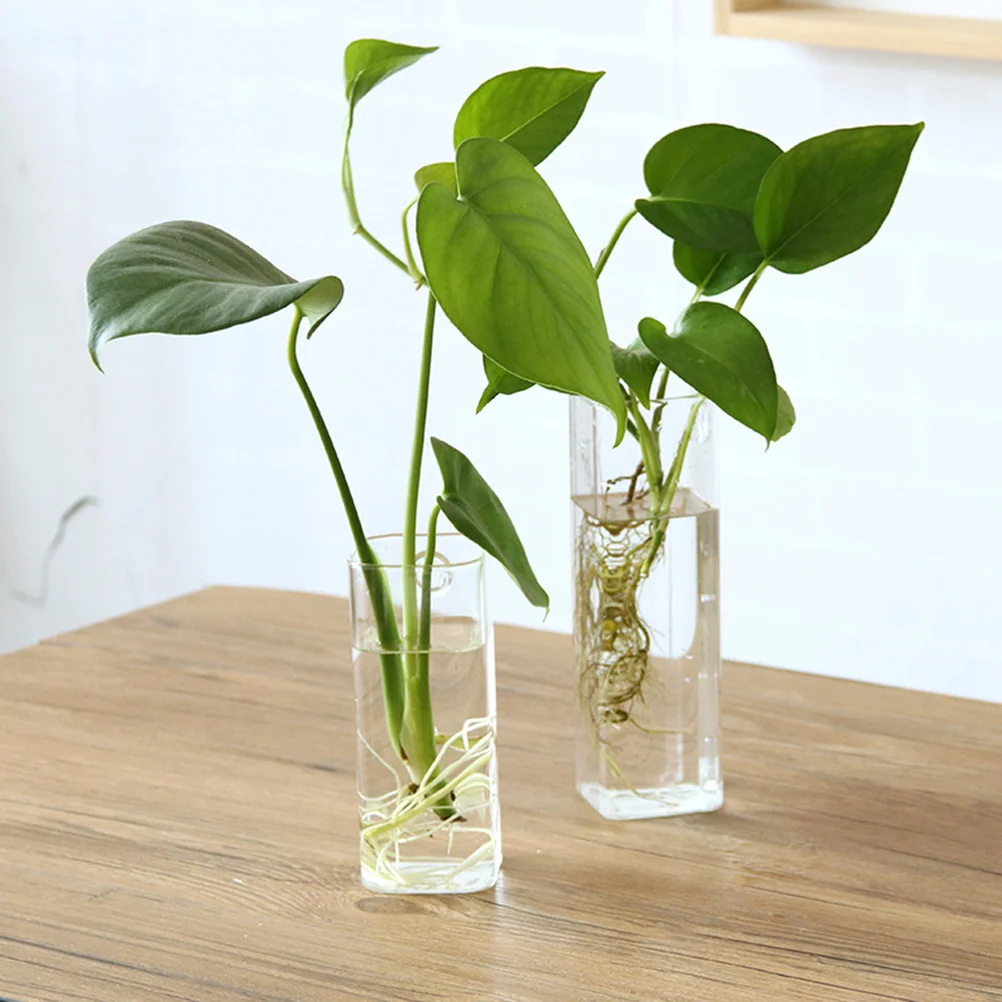 

Glass Flower Vase 6x15cm Hanging Wall Mounted Water Planting Container for Home Decor Bedroom Living Room Balcony Terrarium