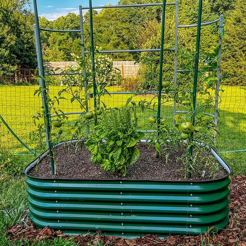 

Galvanized Raised Garden Bed For Vegetables Flowers Herbs Metal Raised Garden Bed Kit