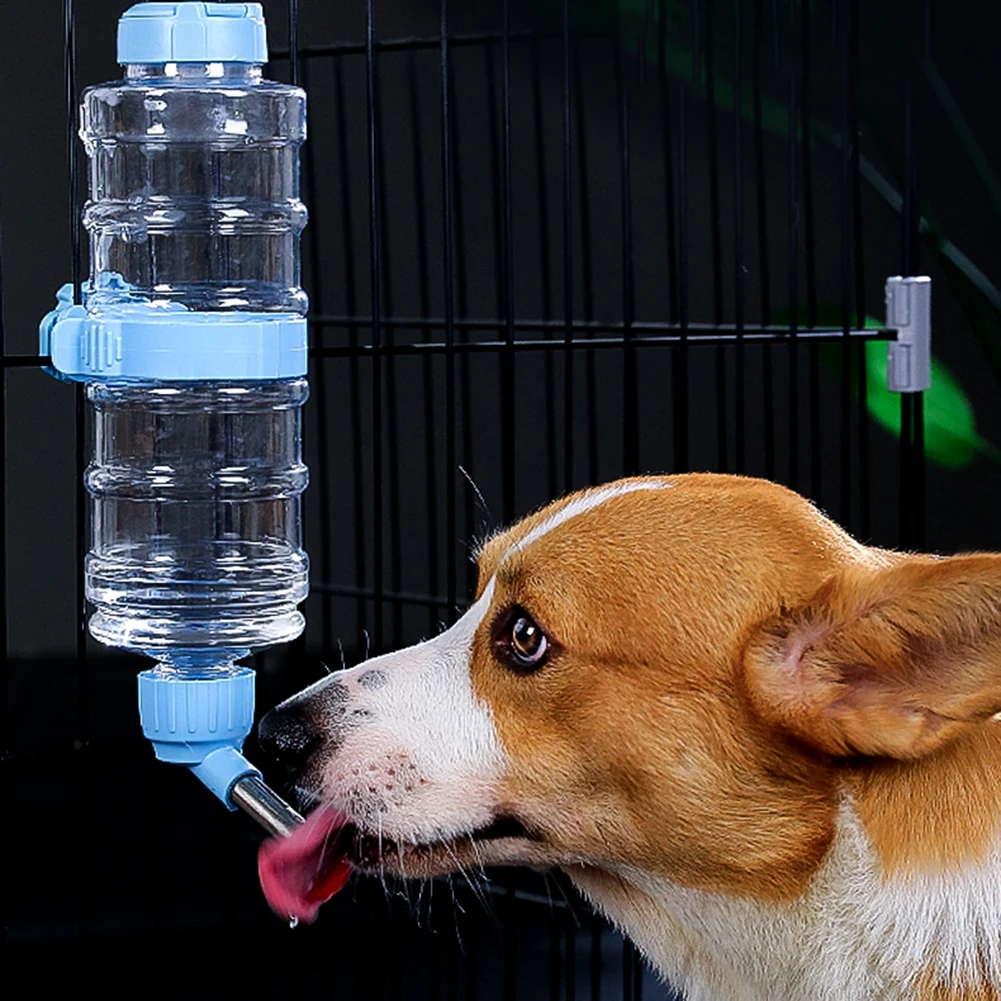 

Dog Drinking Fountain Hanging Type Pet Water Bottle Rolling Ball Automatic Feeding Water For Small Animals Wholesale