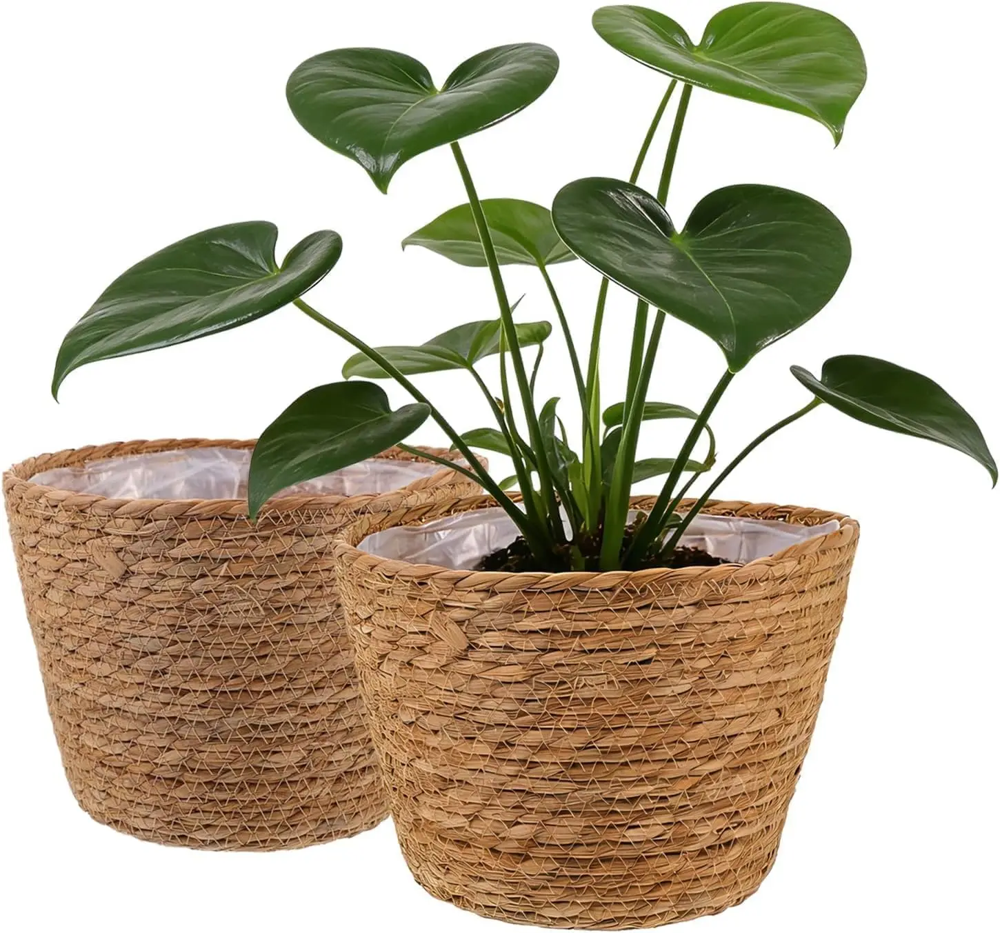 

2 шт. Корзины для растений из морской травы для дома и улицы, плетеные корзины-кашпо с вкладышем для горшков 6 дюймов, чехлы для комнатных растений