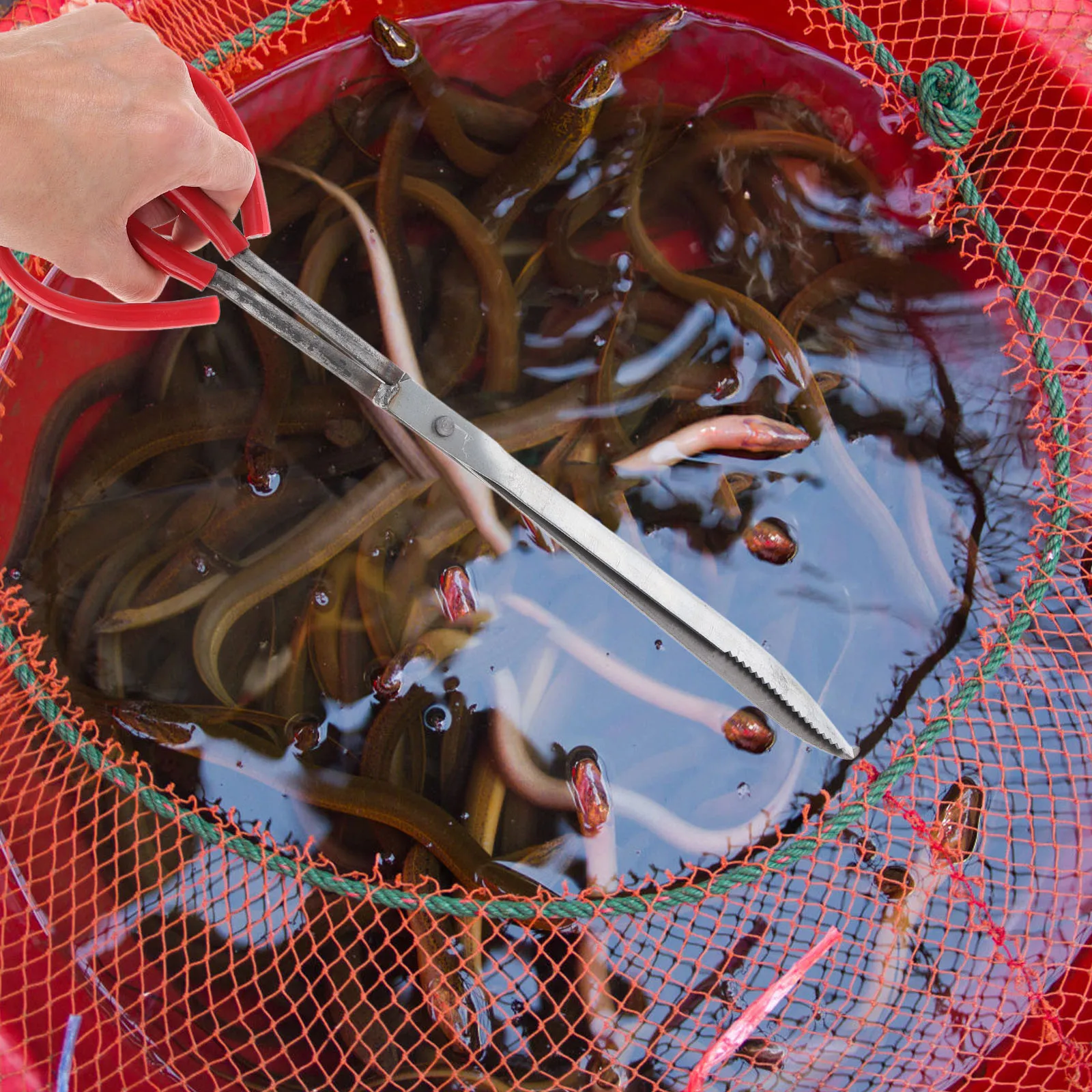 

Fish Catching Clamp with Metal Crab Tong for Sea and Lake Sturdy Construction Comfortable Grip Multi-Purpose Aquatic Creature