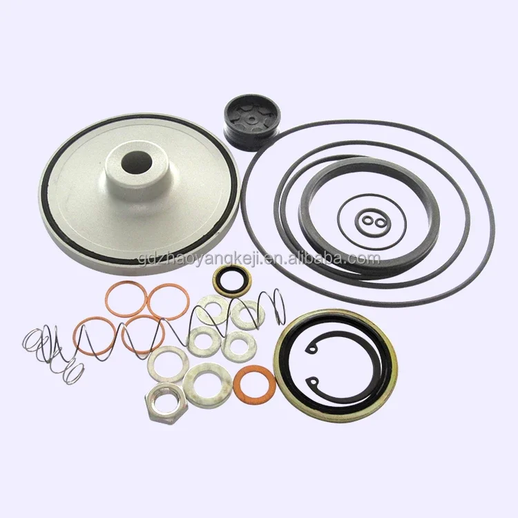 Supply Intake Valve Repair Kit 3001531110