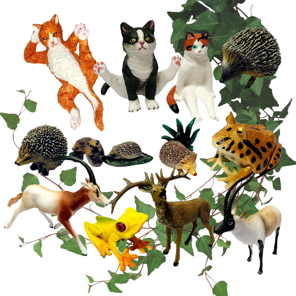 Simulation Wild Animals Cats Hedgehog Models Frog Action Figures Antelope Deer Figurines Miniature Collection For Kids Toy Gifts