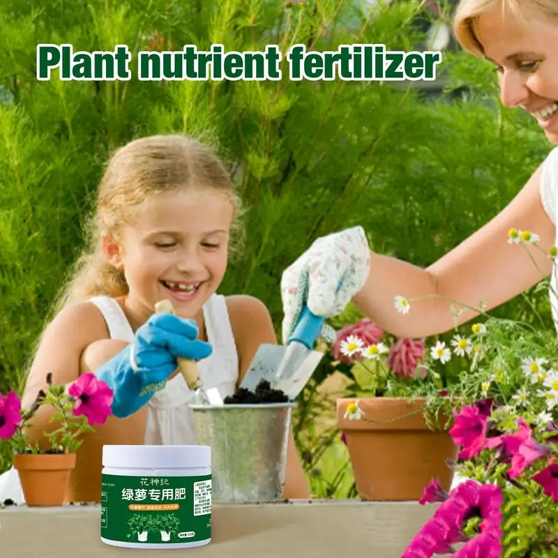 Potted Plant Fertilizer 250g Long Lasting Flowers Fertilizer Increase Nutrient Utilization For Study Room Living Room Balcony