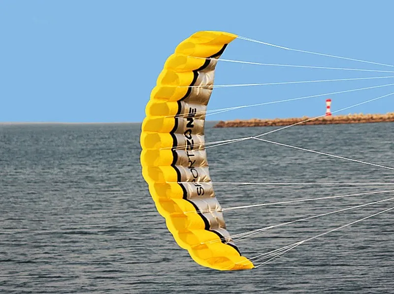 free shipping 2.5m dual line stunt power kite paragliding equipment cometas de viento gigante dragon kite toy sports large kite