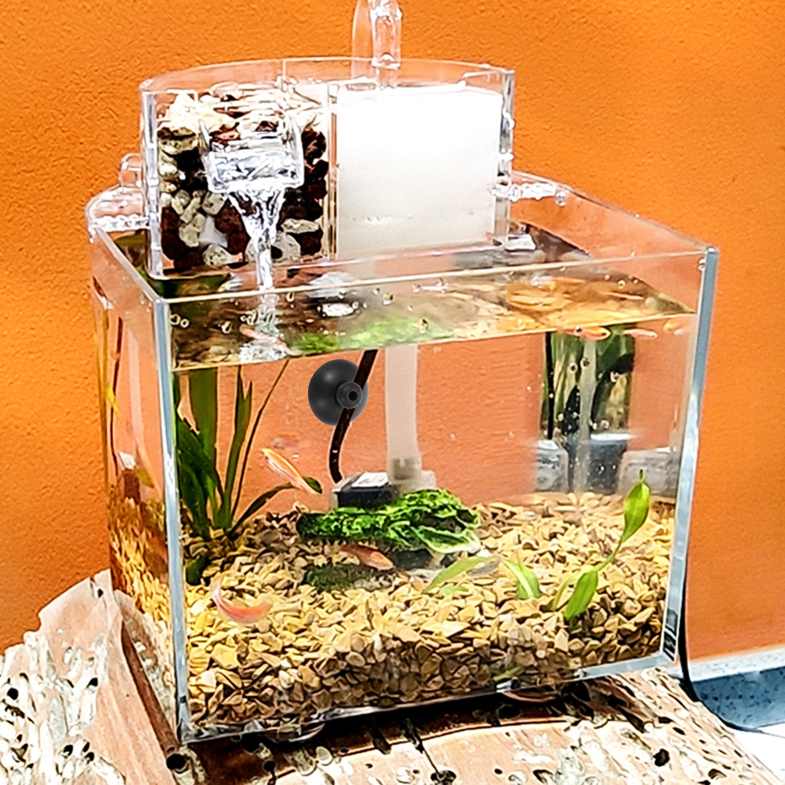 

20Pcs Oxygen Pump Suction Cups Black Aquarium Air Pump Holder Strong Suction Fish Tank Wire Fixer Air Fixing Sucker