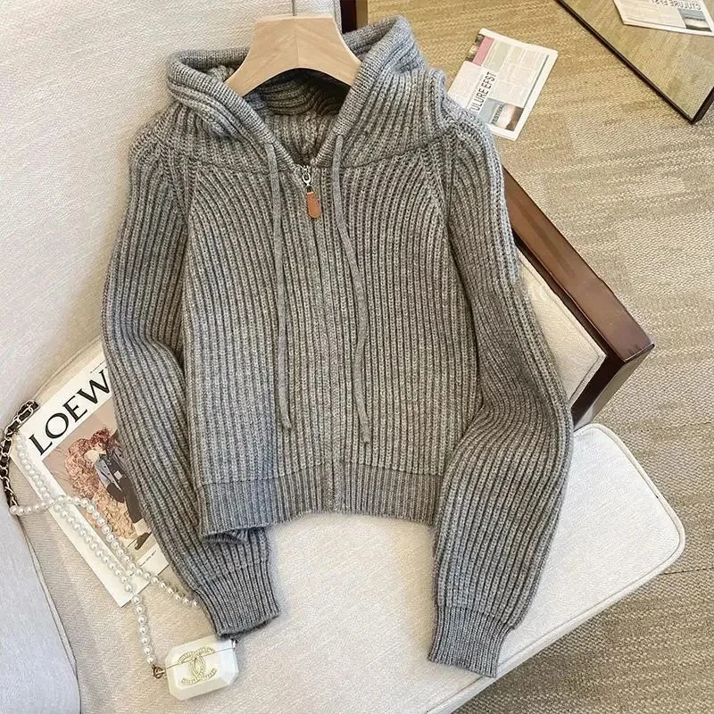 2024 Spring Autumn New Sweater Cardigan Jacket Women  Hooded Zipper Loose knitted Sweater Coat Female Casual Short Outerwear