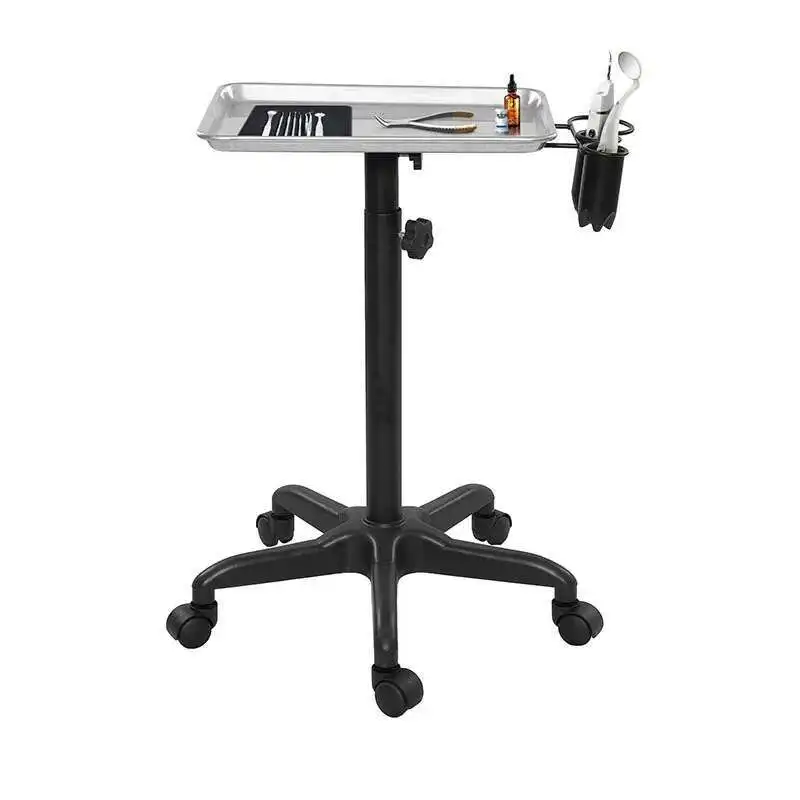 

Cosmetic Tool Salon Trolley Hairdresser Tattoo Spa Salon Trolley Rolling Professional Wozek Narzedziowy Salon Furniture WKST