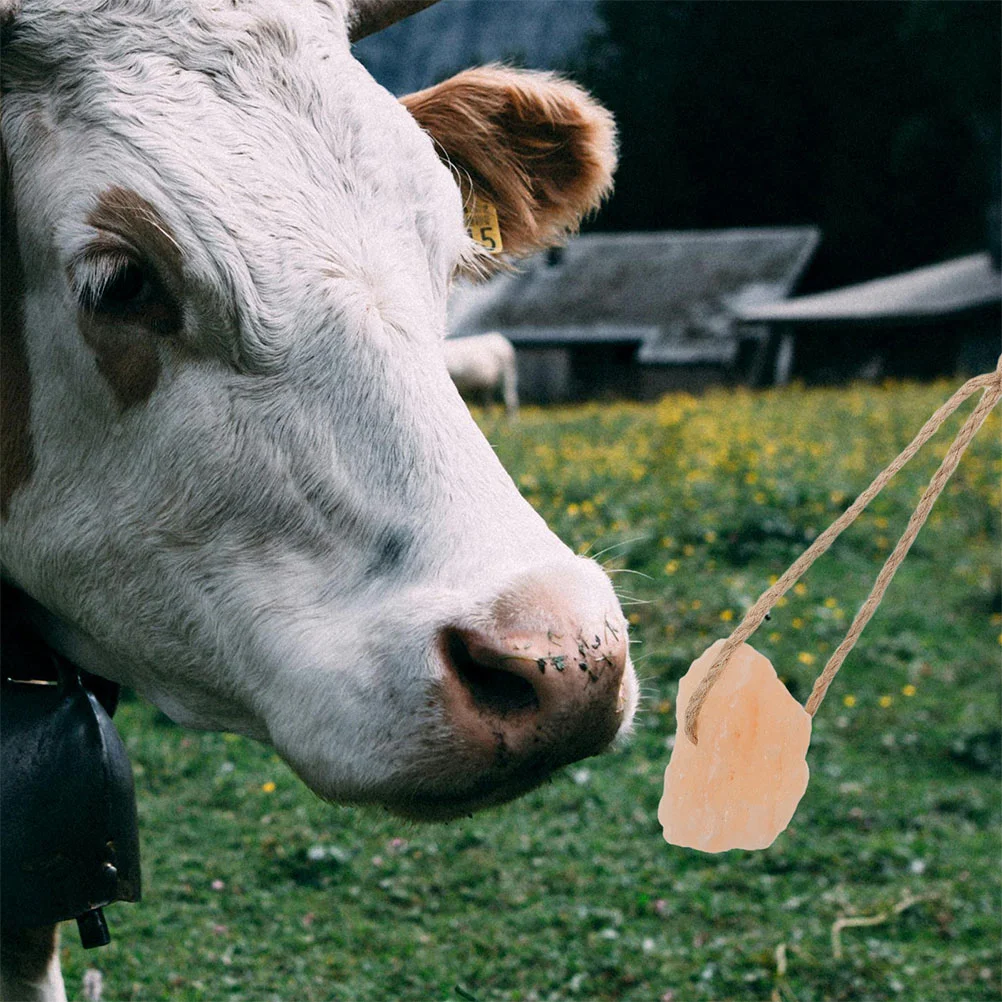 4-delige zoutblokken voor paarden, runderen, herten, vee, natuurlijke mineralen, trace-elementen, gezonde lekkernijen, bulk