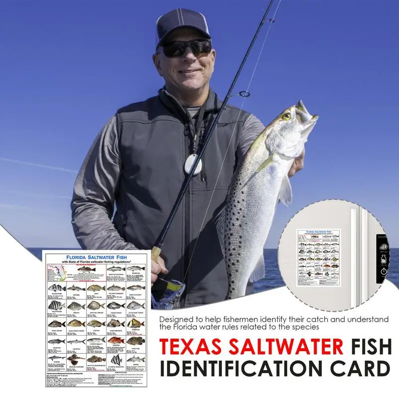 Florida Saltwater Fish Identification Card Color Photos Of Florida Waters Rules Florida Saltwater Fish Identification Card For