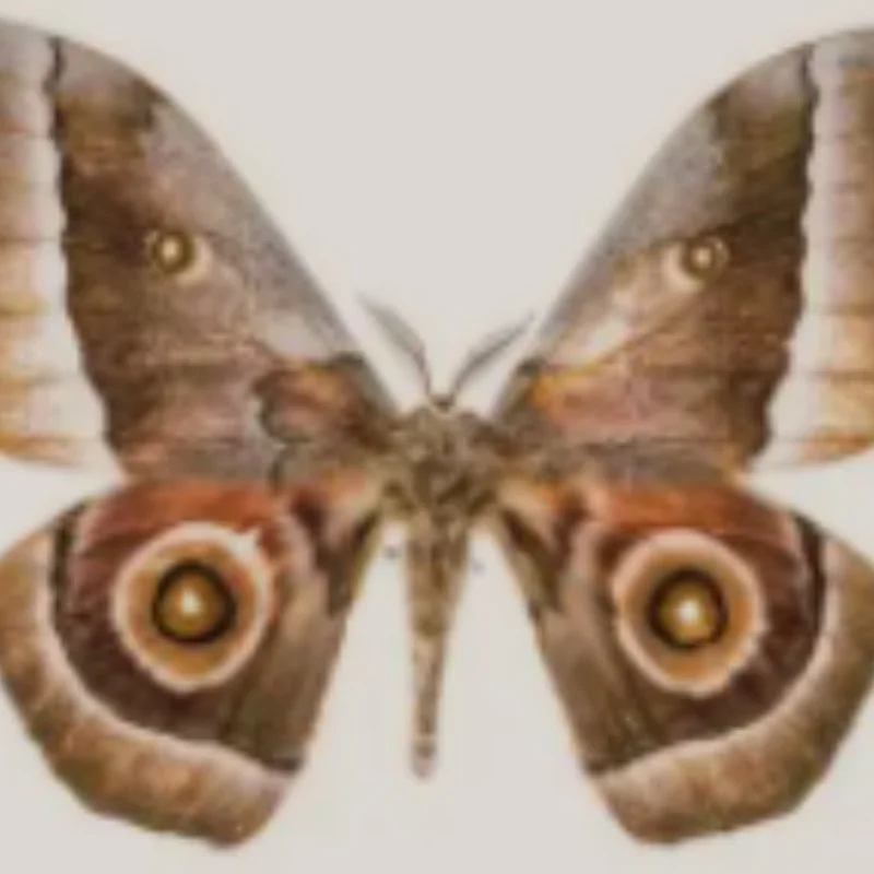 

4PCS 115MM Tires Wheels 12mm Hub Hex for 1/10 RC Buggy Monster Truck Car HPI HSP Savage XS TM Flux ZD Racing LRP 10030