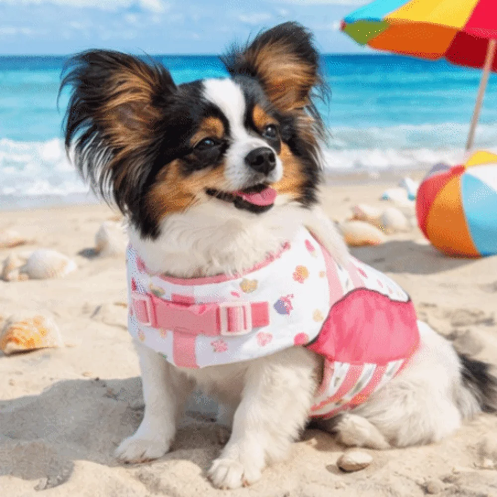Adjustable Dog Life Jacket High Buoyancy Waterproof Dog Lifesavers Swimsuits Secure Fit Thick Sponge Pad Pet Safety Vest Beach view 5
