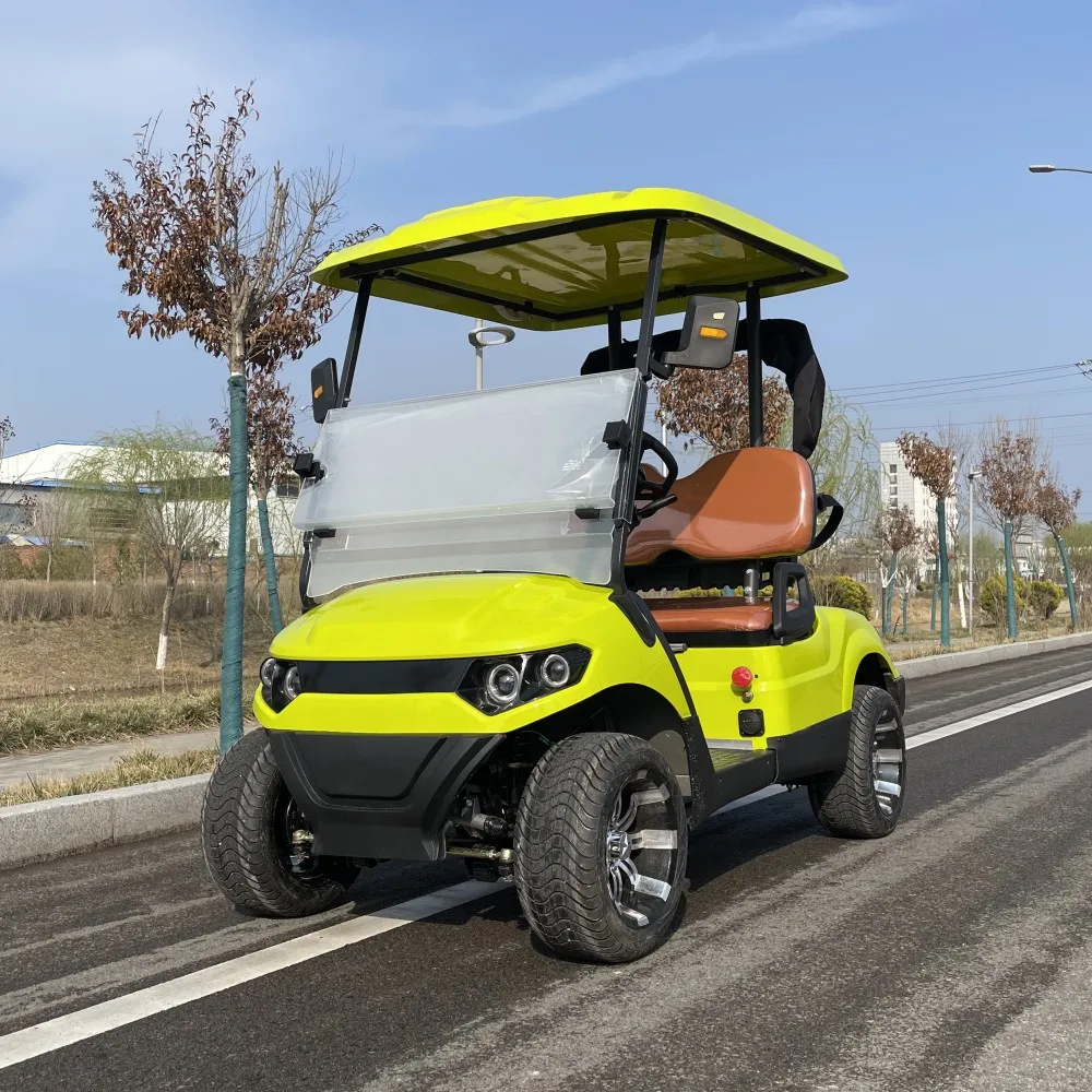 

2024 новая модель, стиль, 2-местный экскурсионный автобус, Клубная тележка, электрическая тележка для гольфа, тележка для охоты для взрослых