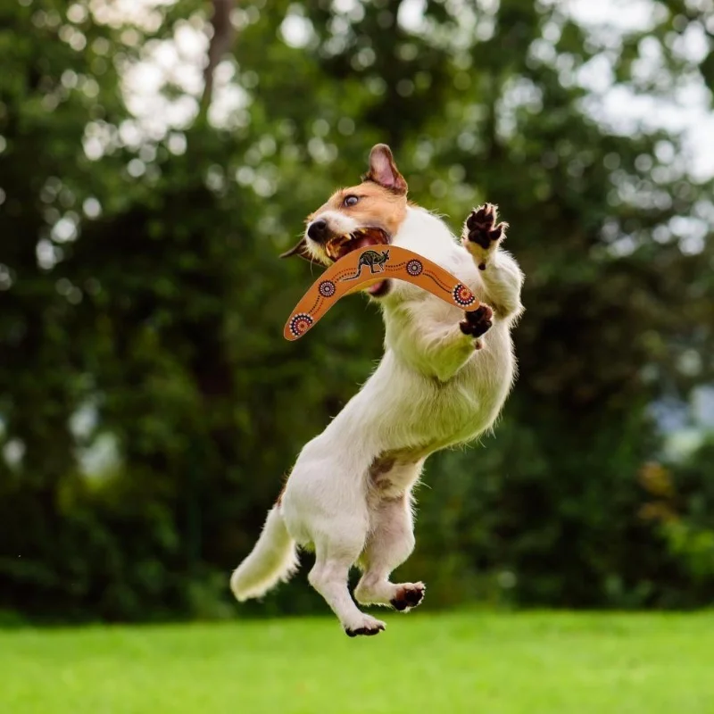 Houten boemerang voor tieners en volwassenen V-vormige boemerang gooien vangst buitenspel kinderen gooien sport speelgoed