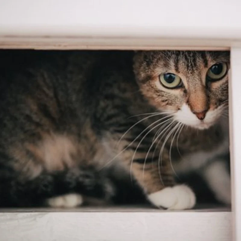 

MJX H12Y H12Y + автомобильные запасные части с дистанционным управлением, металлический модернизированный корпус передней оси, корпус задней оси