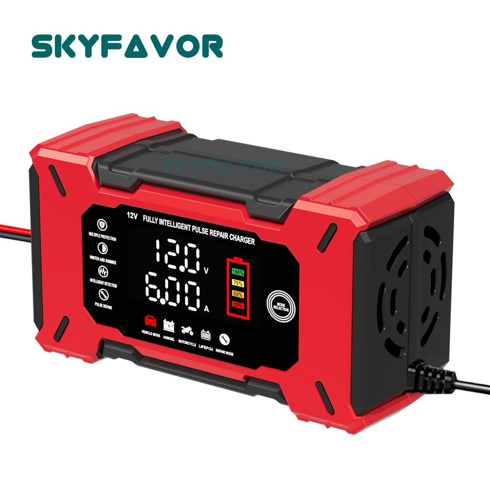 Automatic Smart 12V…