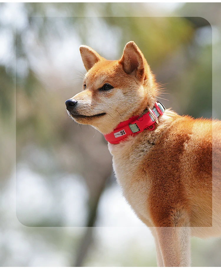Personalized AirTag Dog Collar Adjustable Nylon Reflective Padded Pet Dog Collar for Small Medium Large Dog Accessories