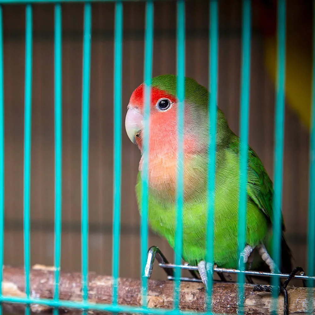 10Pcs Parrot Wood Perch Stand Sturdy Training Rack Exercise Bird Cage Parrot Standing Shelf Accessory Training Stand