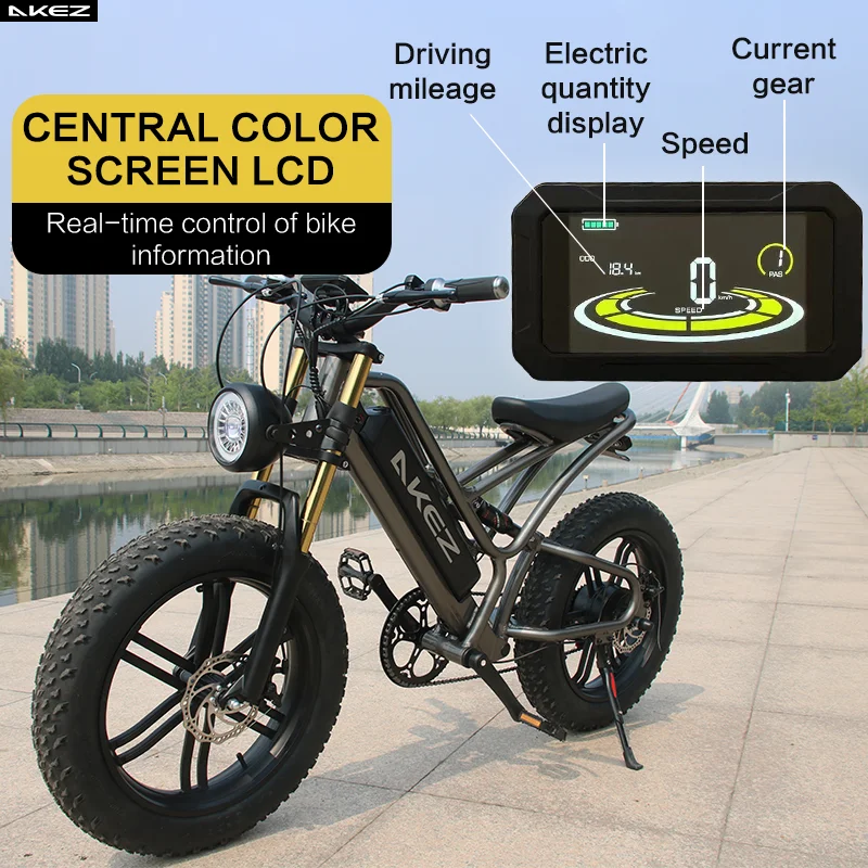 20 inch 1000W Electric Cruiser Bike For Adults Electric Bicycle with 48V 20Ah Removable Battery Dual Shock Absorber E-Bike