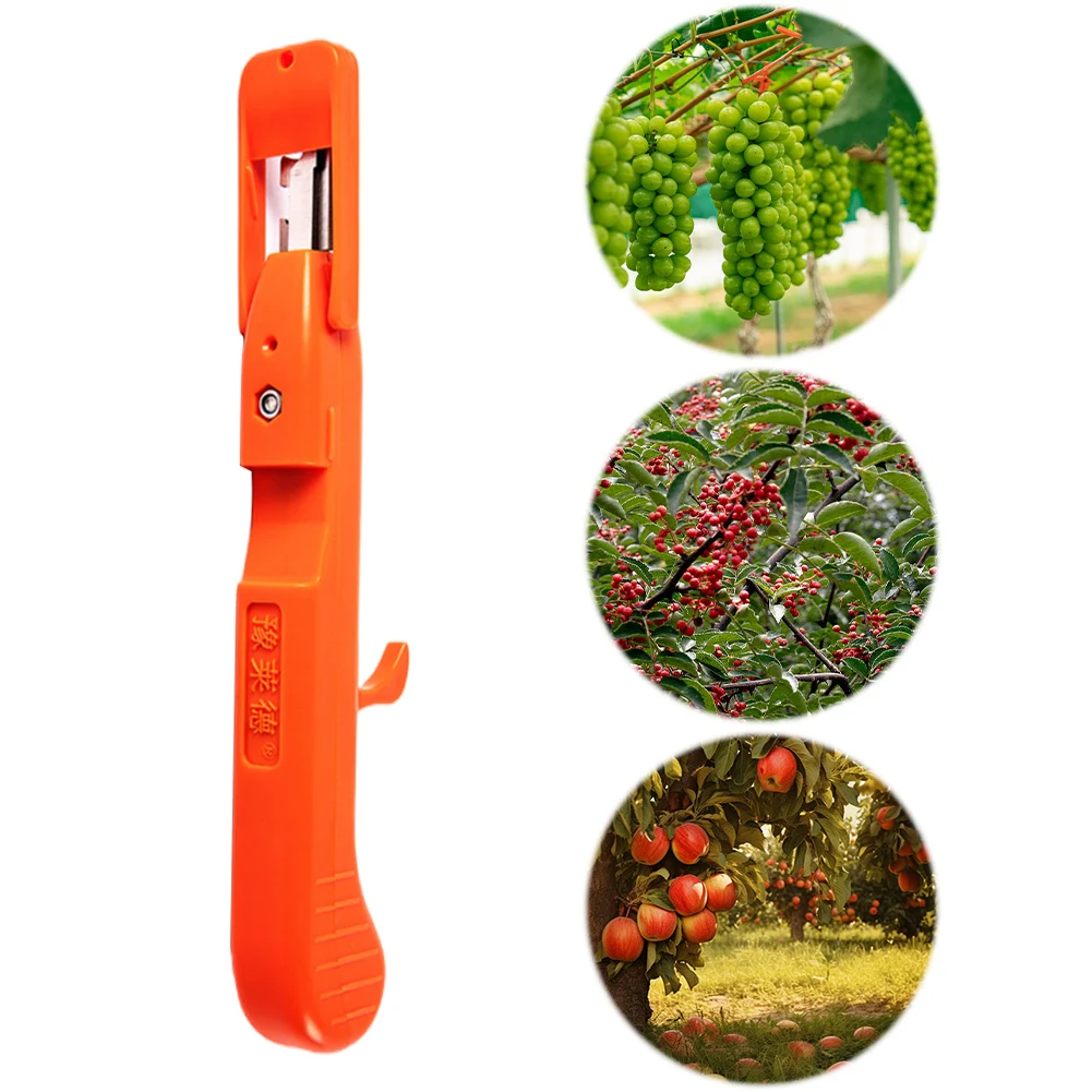 Druivenplukgereedschap Multifunctionele kleine fruitpluktrimmer Ergonomische peperbloemtak Schaar Tuinbenodigdheden