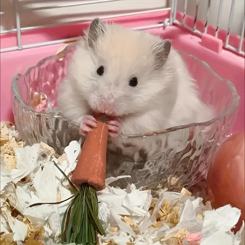 3/6Pcs Small Pet Carrot Chew Sticks, Teeth Grinding Toy to Promote Dental Care for Hamster, Rabbit, Guinea Pig, Hedgehog