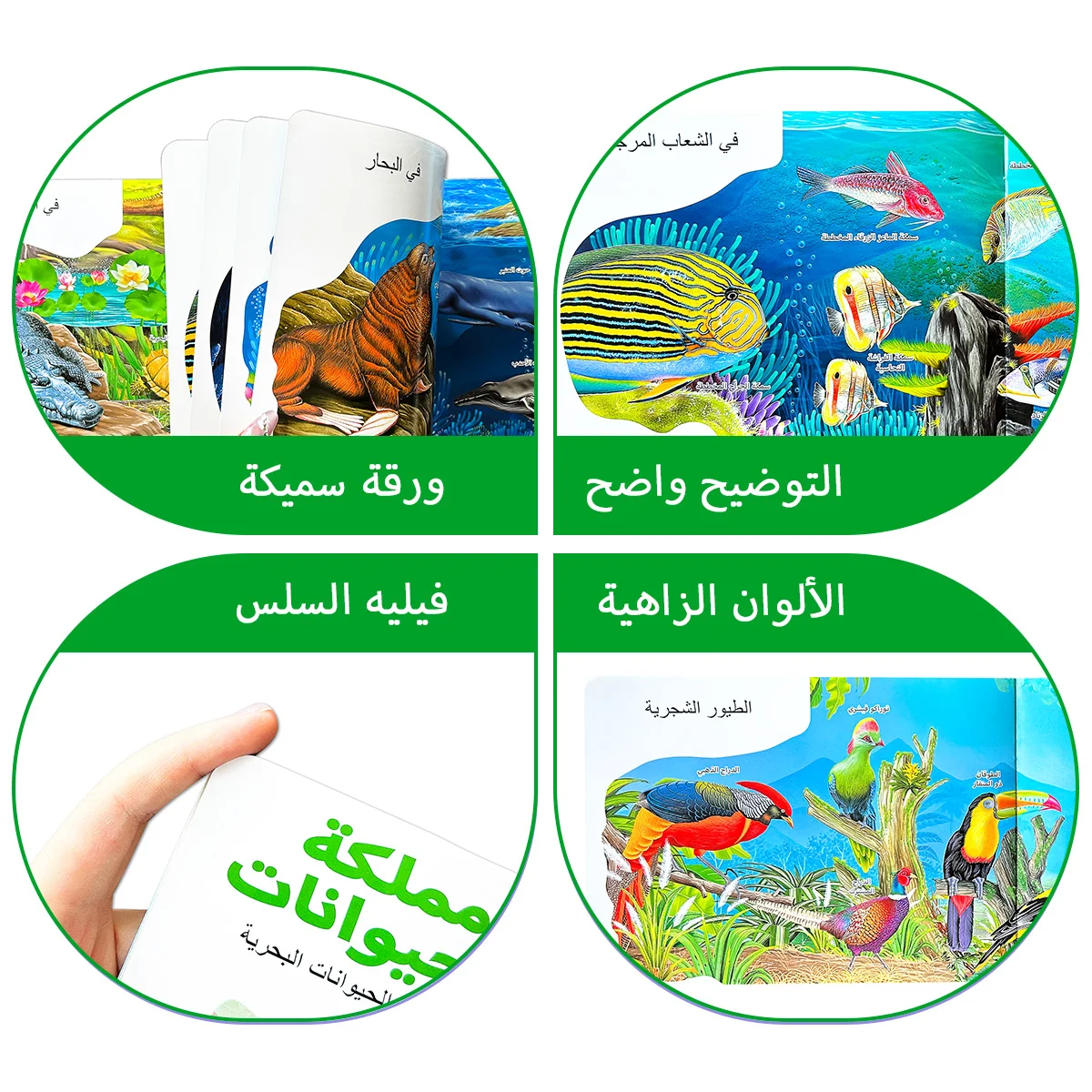 كتاب موسوعة الأطفال العربية عن الطيور والحيوانات البحرية